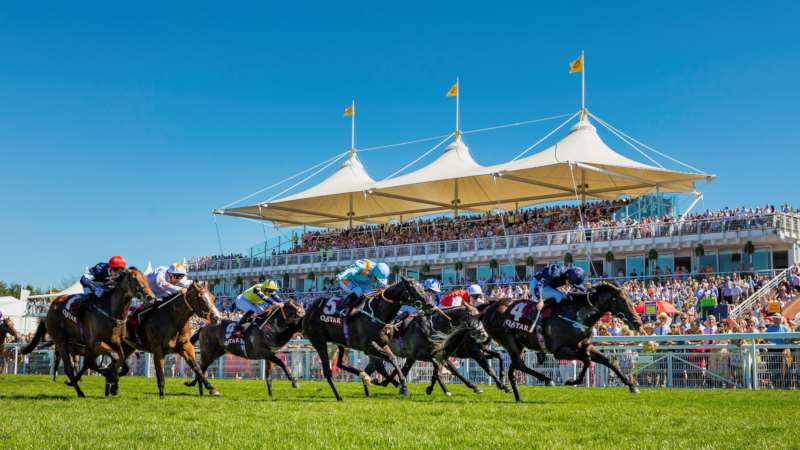 Galloping ahead: